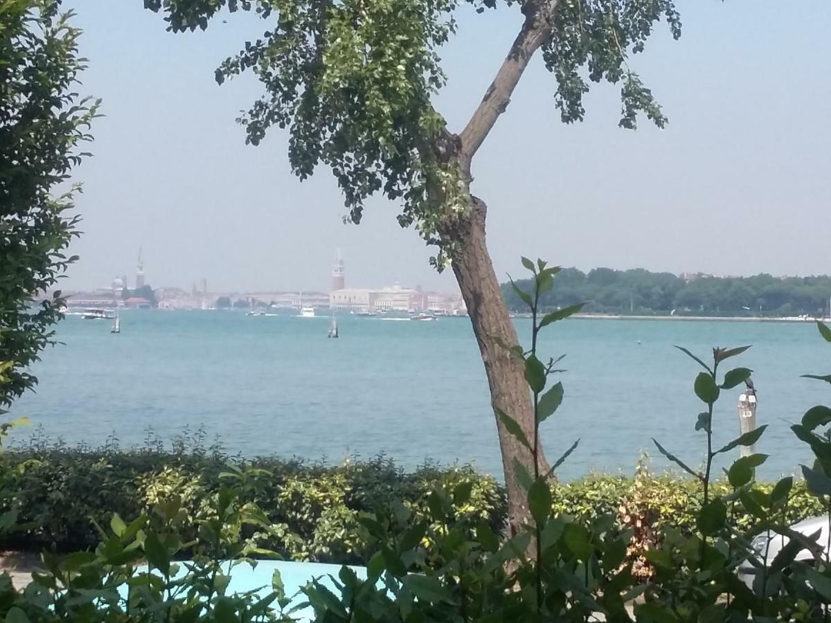 Bellavista Sanmarco Venice And Lagoon View Lido di Venezia Exterior photo