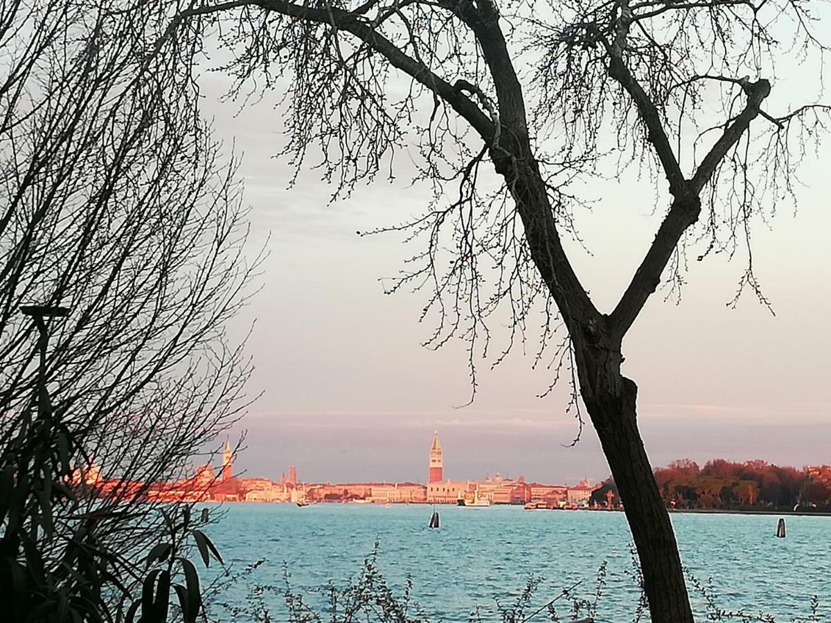 Bellavista Sanmarco Venice And Lagoon View Lido di Venezia Exterior photo